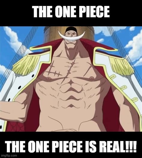 one piece gif|one piece is real gif.